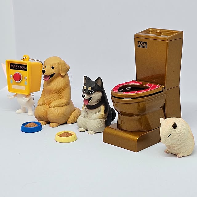 sinさんの実例写真