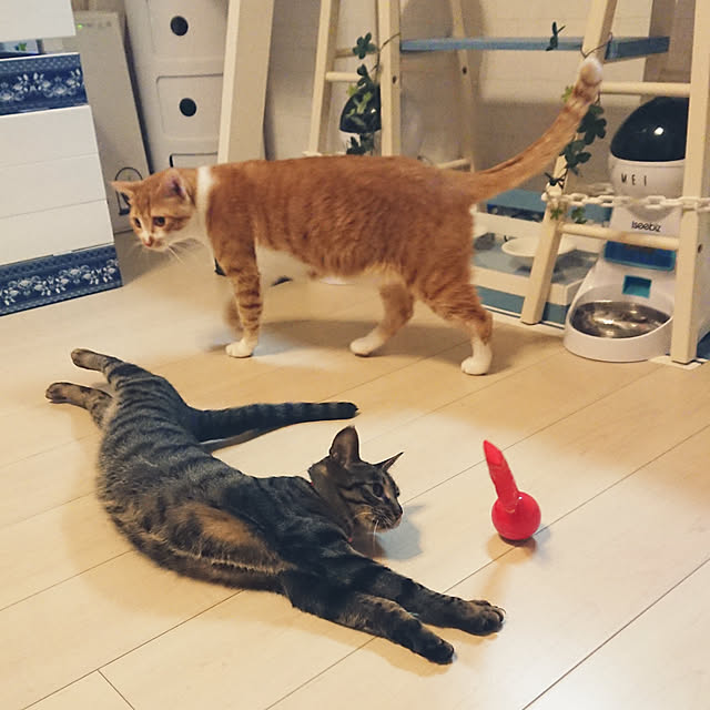 taka-kiさんの実例写真
