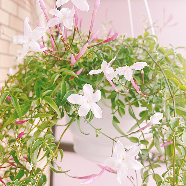 smallroomさんの実例写真