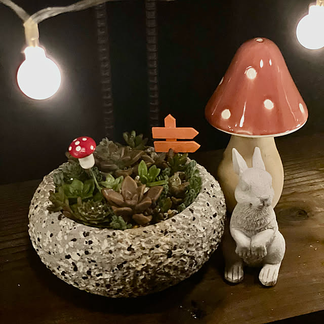 cocoさんの実例写真