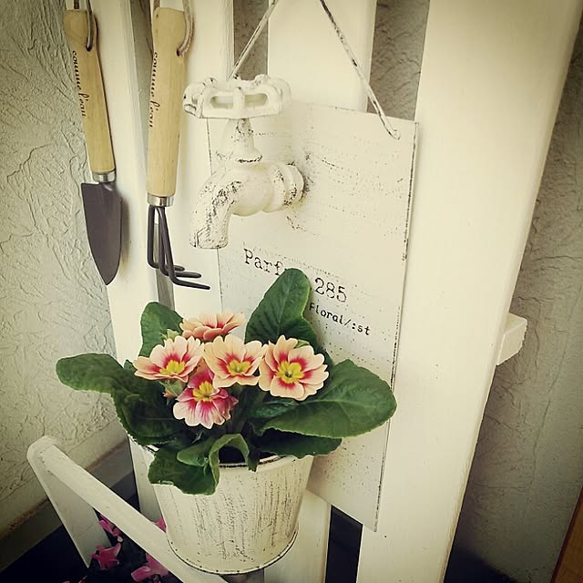 natural_white_さんの実例写真