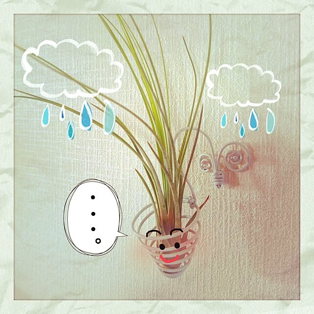 SATOMIさんの実例写真