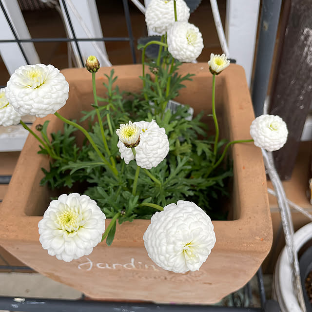 Andaluciaさんの部屋