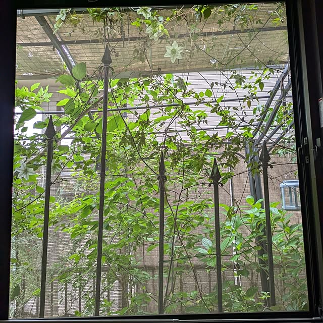 mori_6_12さんの実例写真