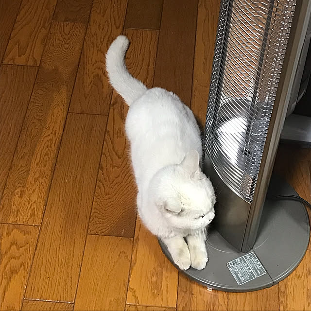 kikiransanさんの実例写真