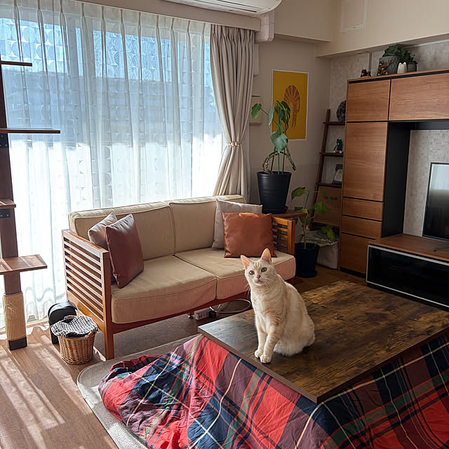 hiyupan88さんの実例写真