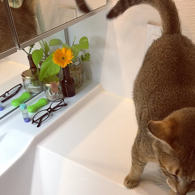 1633さんの実例写真