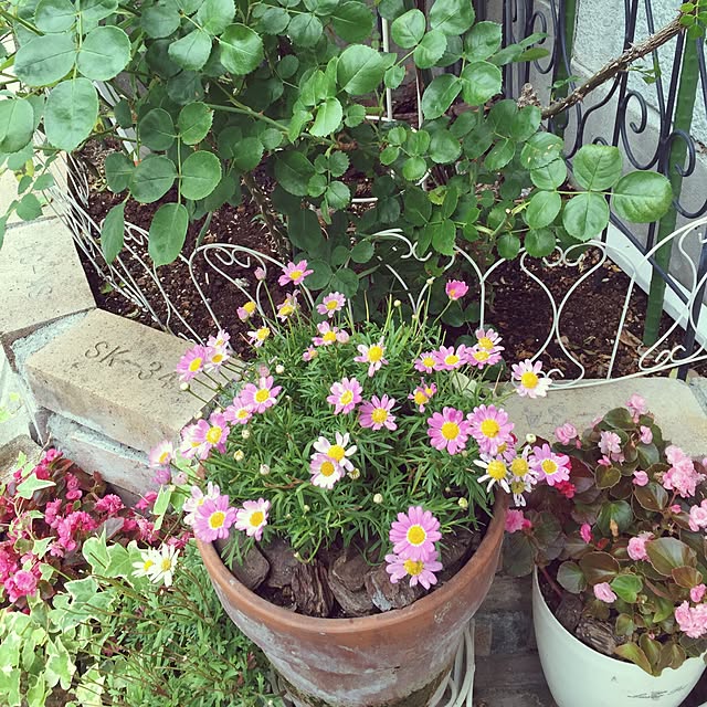 greenroseさんの実例写真