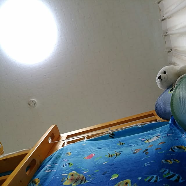 kyukyuさんの実例写真