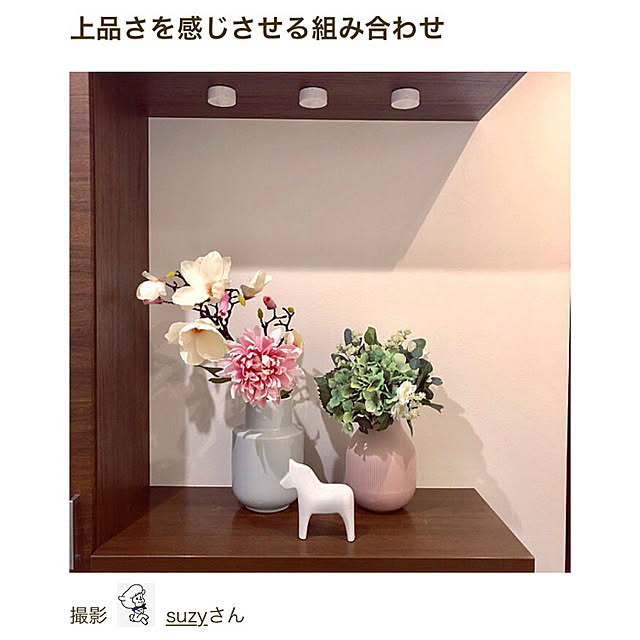 suzyさんの実例写真