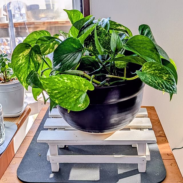 mi-saさんの実例写真