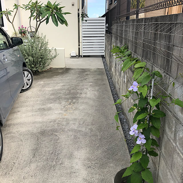 syungikuさんの実例写真