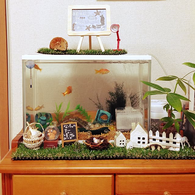 chiekawa63さんの実例写真