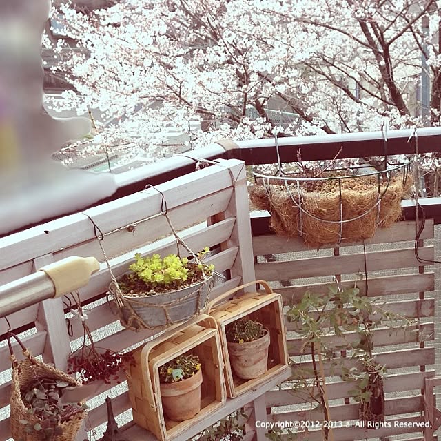 ai.さんの実例写真