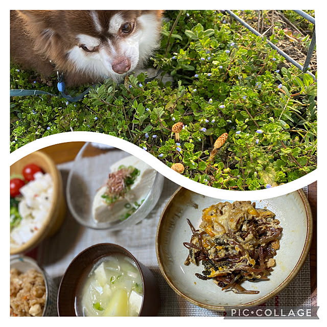 chIoeさんの実例写真