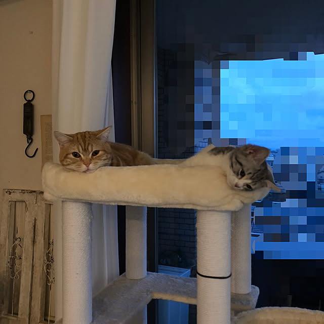 Atelier.mさんの実例写真