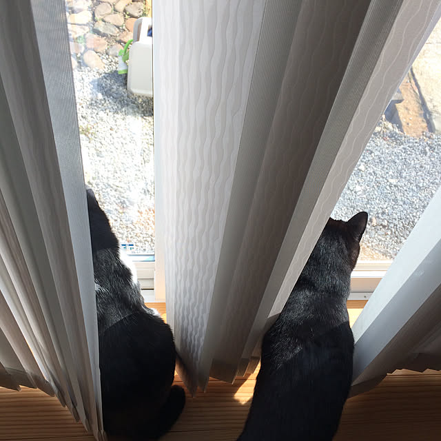 aruさんの実例写真