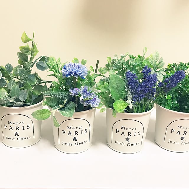 部屋全体/100均/セリア/観葉植物/多肉植物...などのインテリア実例 - 2017-01-25 12:34:06
