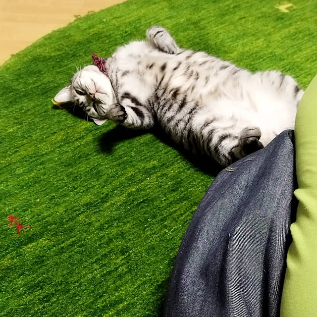 hiro3さんの実例写真