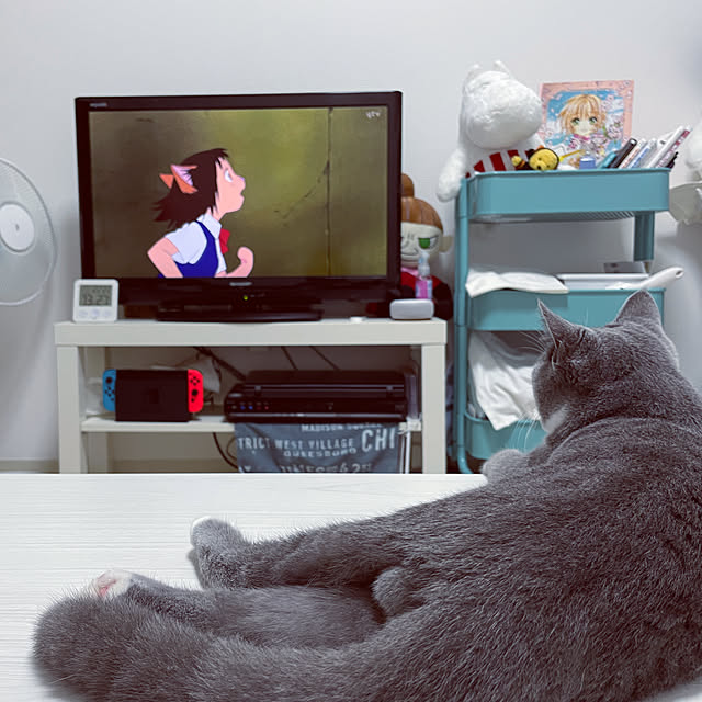 oudoooongさんの実例写真