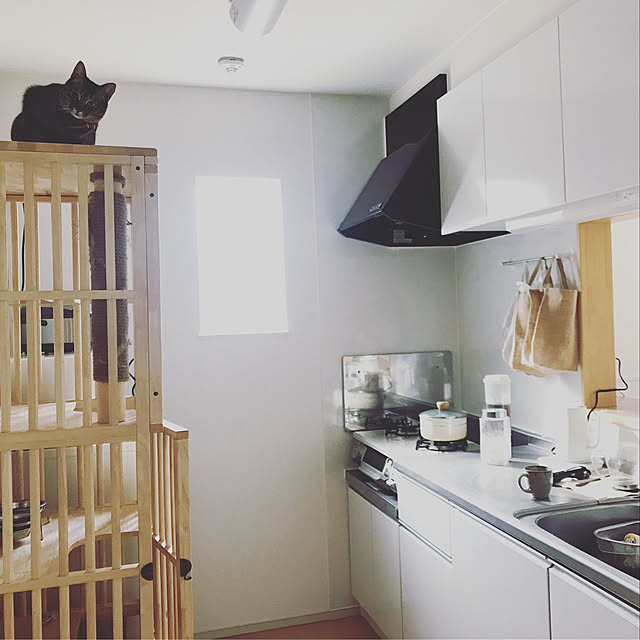 siokenpiさんの実例写真