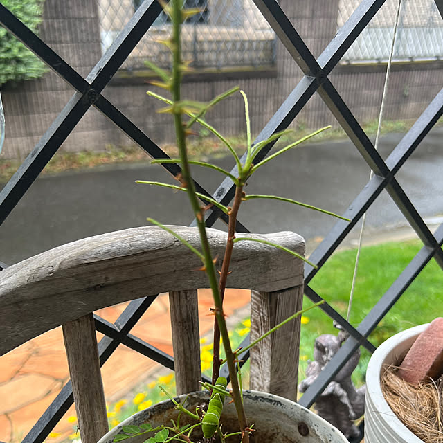 kurumeruさんの部屋