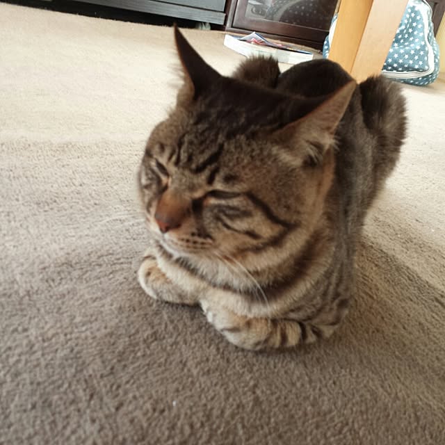 megkeiさんの実例写真
