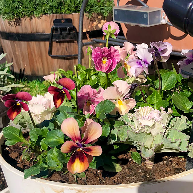 tomoさんの実例写真