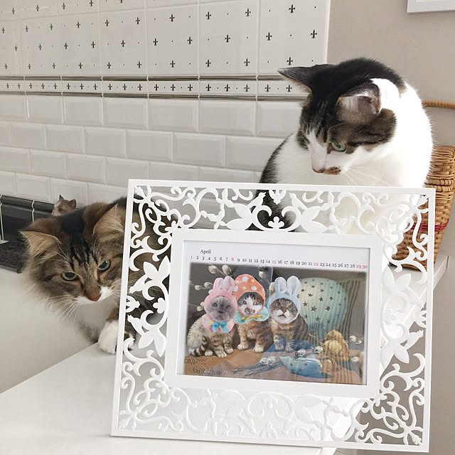 yuchiさんの実例写真