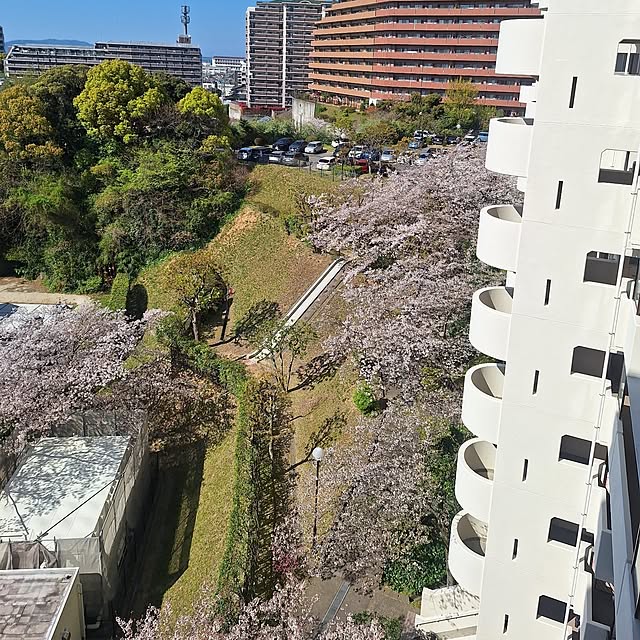 hakata-baさんの部屋