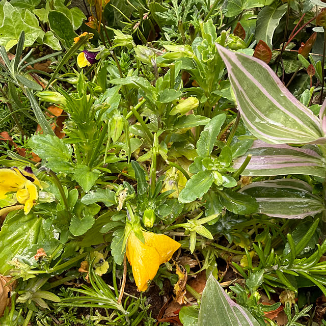 ma...さんの部屋