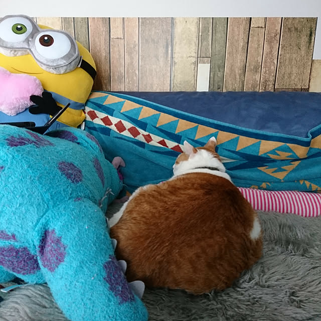 porinさんの実例写真
