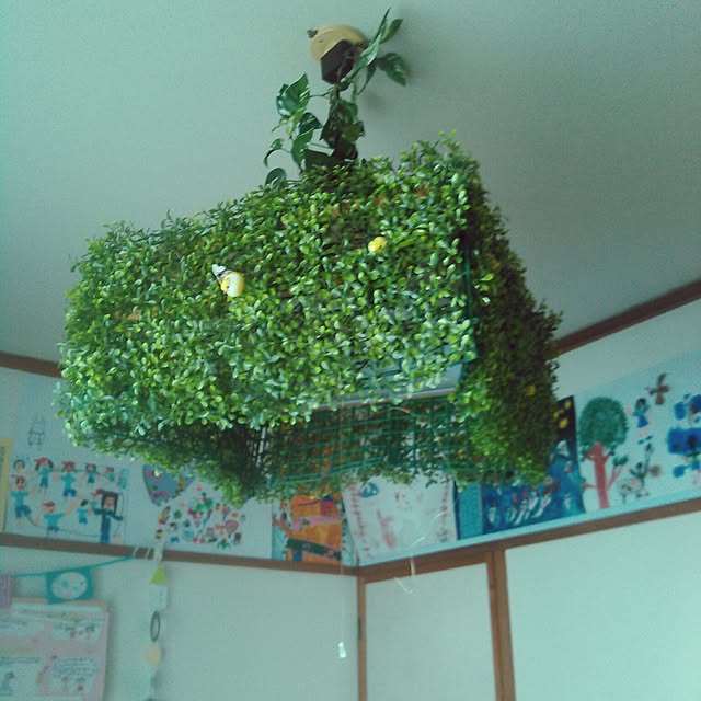 Aresさんの実例写真