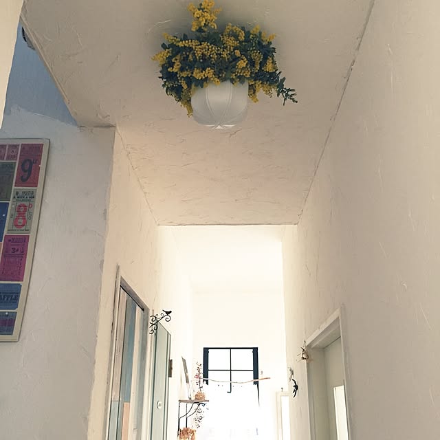 neigeさんの実例写真