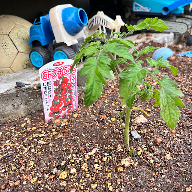 hanihaniさんの部屋