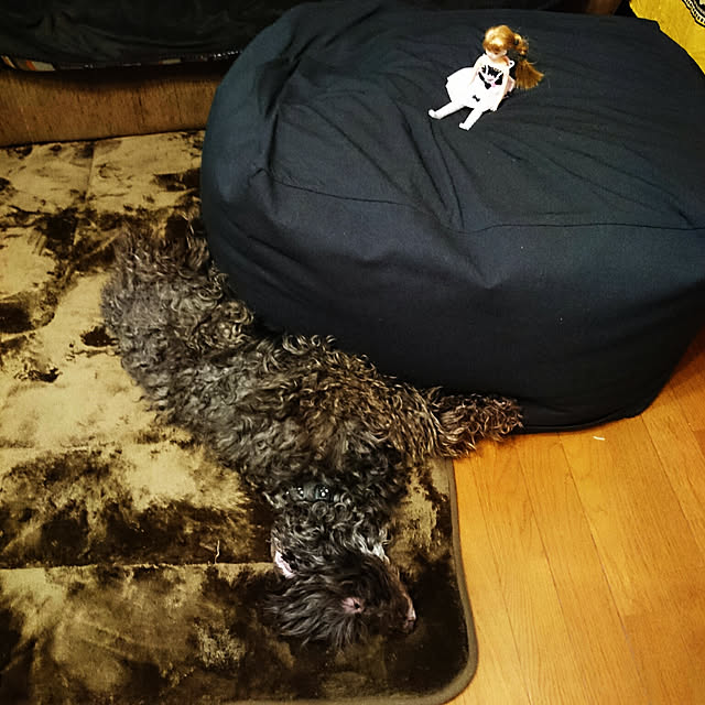 mimi828さんの実例写真