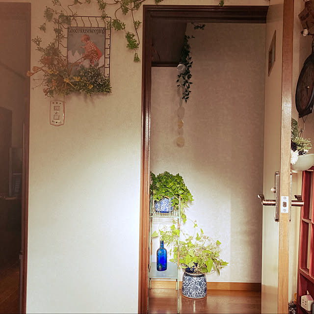 cota2さんの実例写真