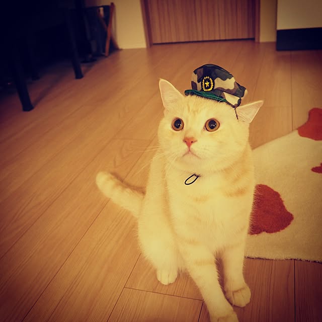 y.k.0123さんの実例写真