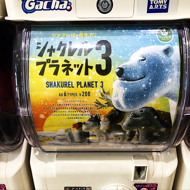 pecoさんの実例写真