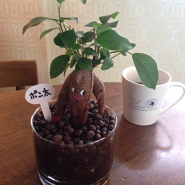 kodemariさんの実例写真