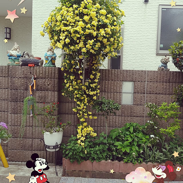 実例写真