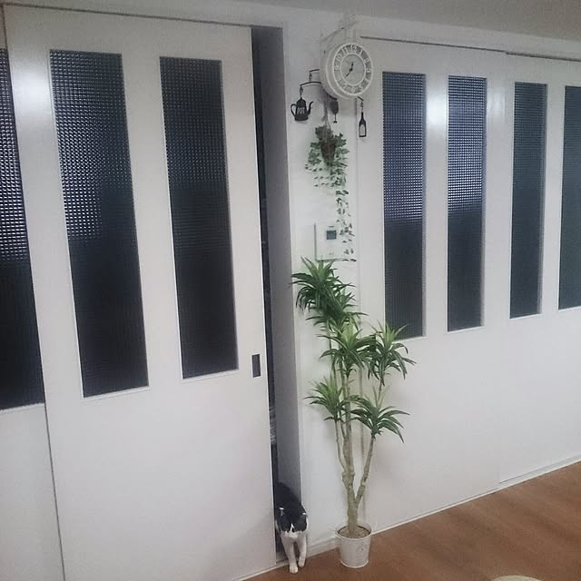 hoshiさんの実例写真