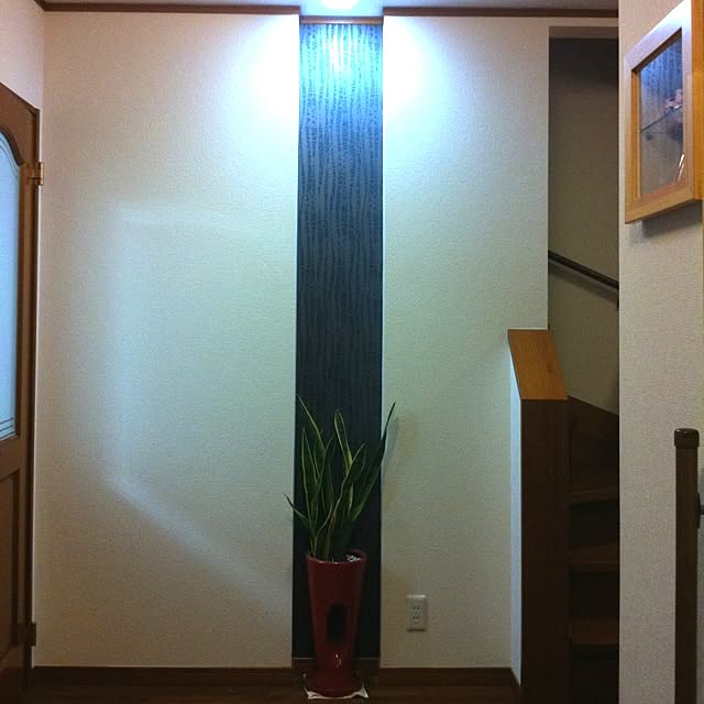 asukaさんの実例写真