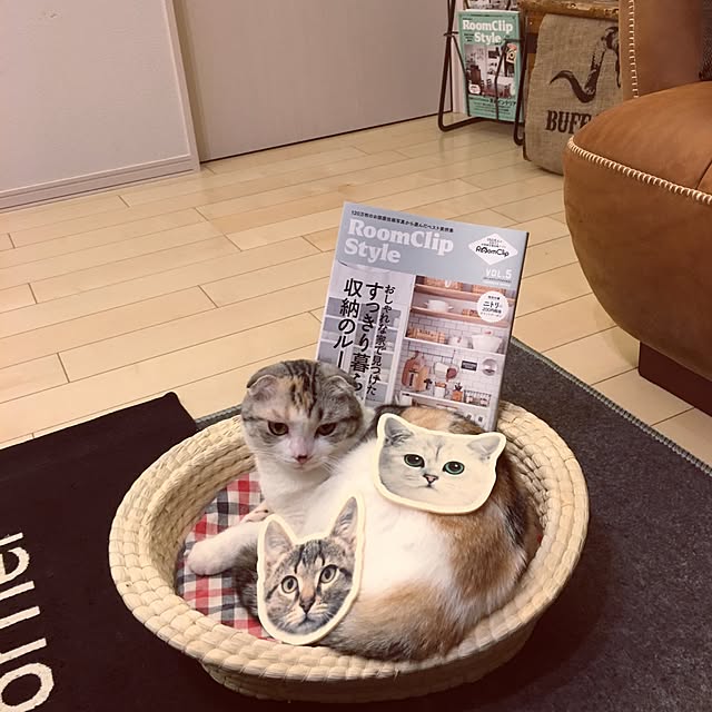 yokkochanさんの実例写真