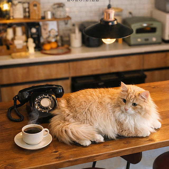 chibinoriさんの実例写真