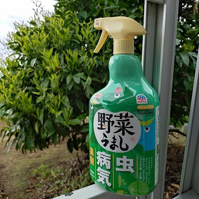 NOAHさんの部屋