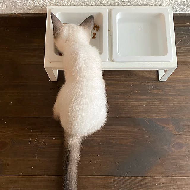 capelさんの実例写真