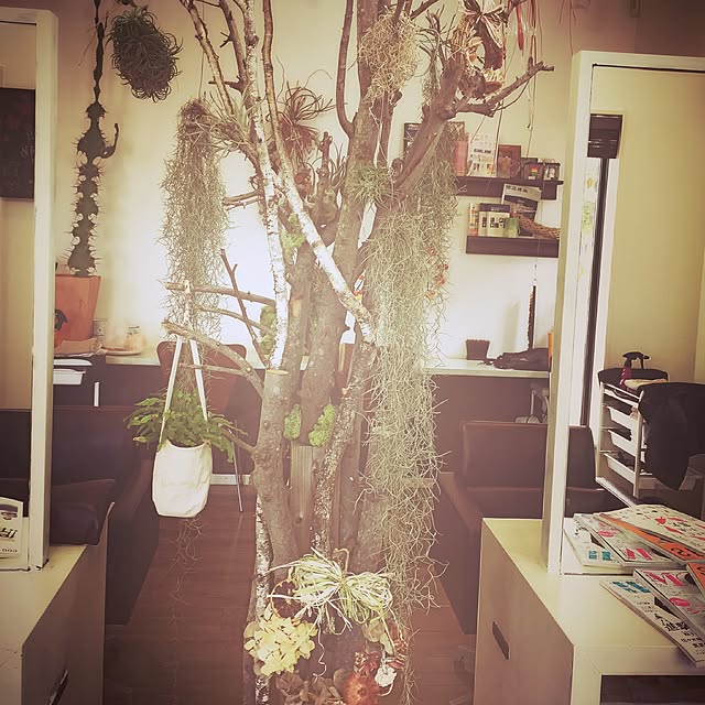 Appleさんの実例写真