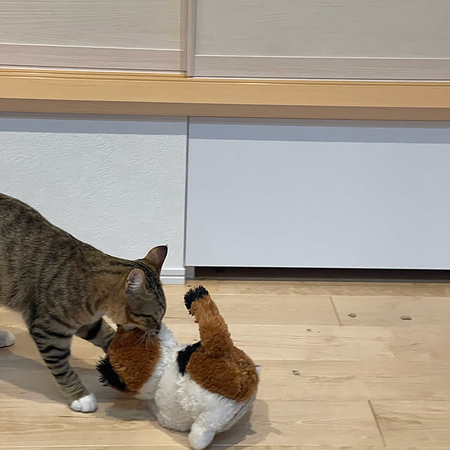 manekinekoさんの実例写真