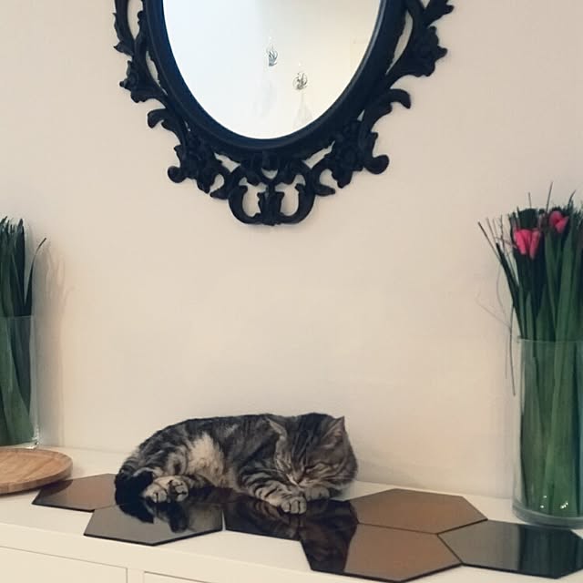 runayucoさんの実例写真